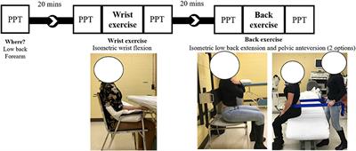 Wrist, but Not Back, Isometric Contraction Induced Widespread Hypoalgesia in Healthy Participants